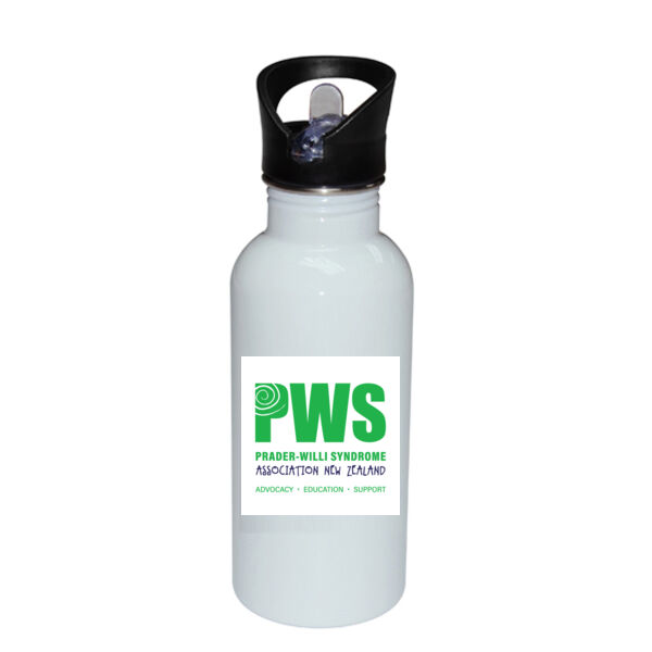 Stainless Bottle with Straw Top Thumbnail